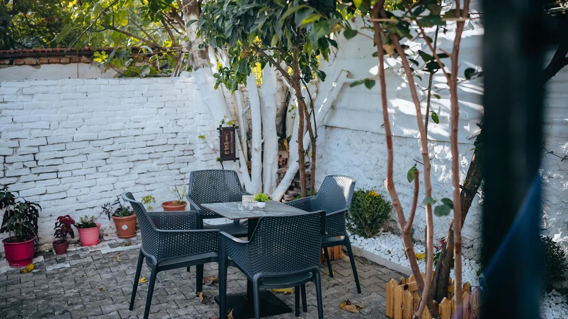 Tirana Bloom Villa&Apartments Lejlighed