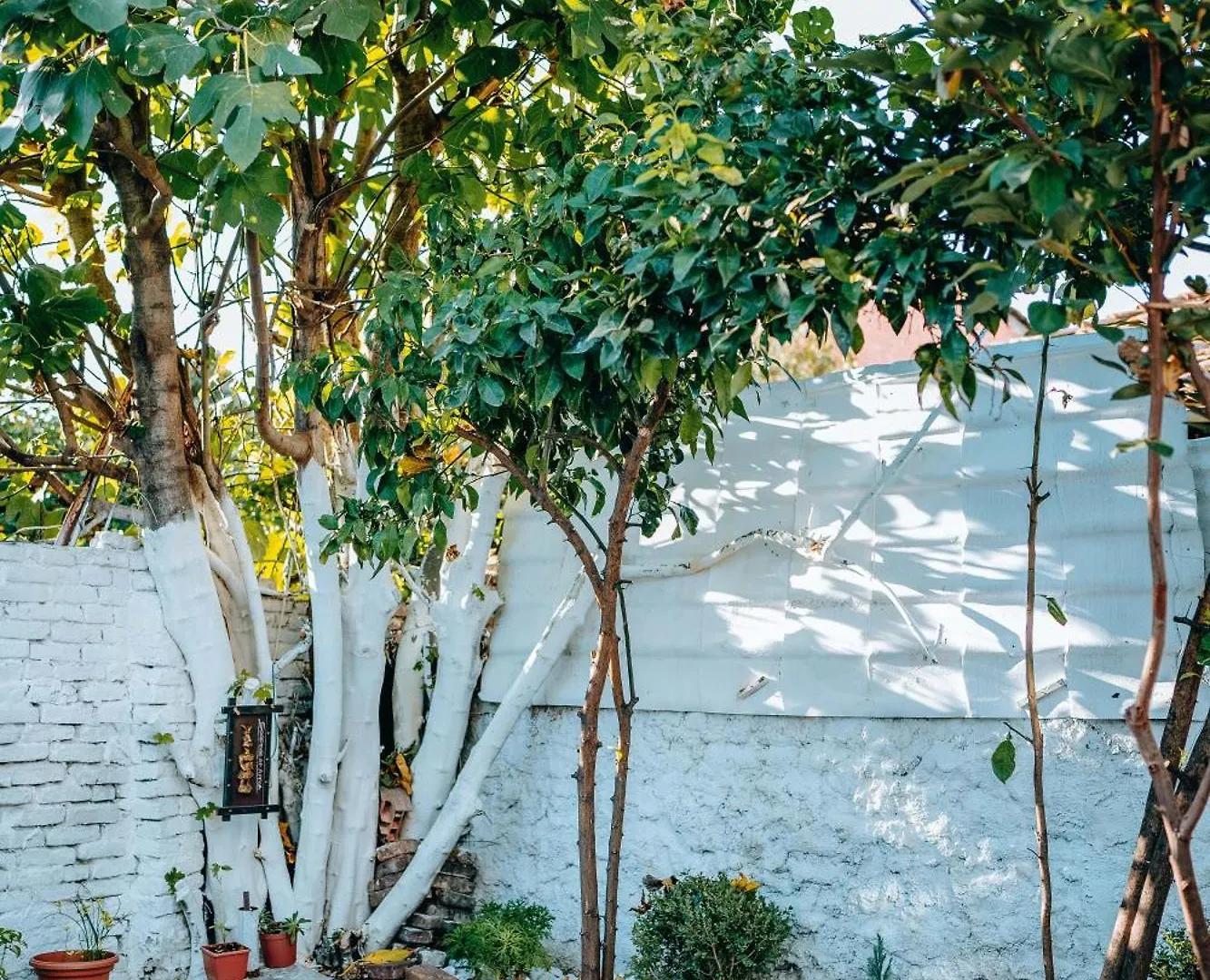 Tirana Bloom Villa&Apartments Lejlighed